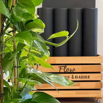 סטודיו לפילאטיס מכשירים FLOW 2